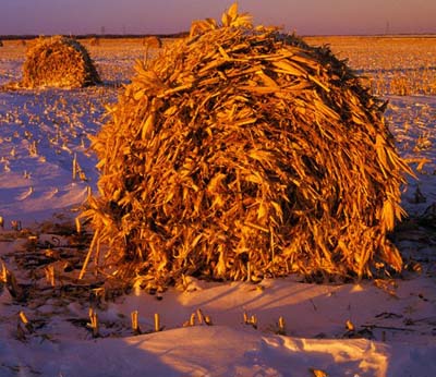 Gestione integnata dei rifiuti agricoli