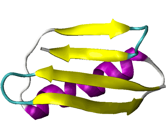 Un trucco che piega le proteine più velocemente