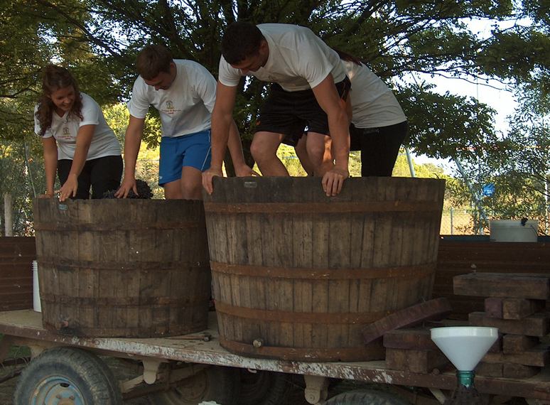 Festa del Perdon a San Gervasio di Carlino