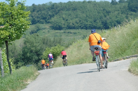 A-BiCi Slow Collio