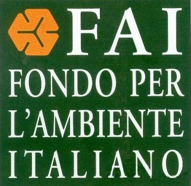 FAI fvg