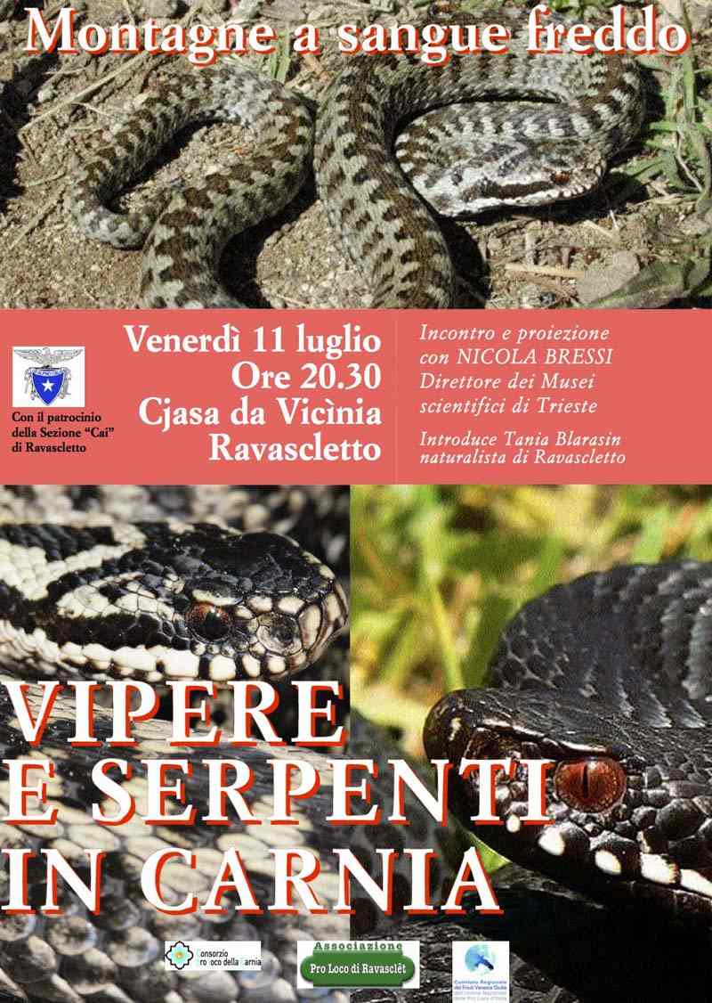 Montagne a sangue freddo: conferenza a Ravascletto su vipere e serpenti