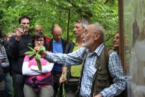 Un successo la festa delle erbe e del benessere a Tramonti