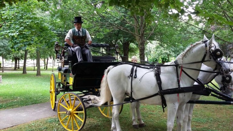 tour-in-carrozza-con-cavalli