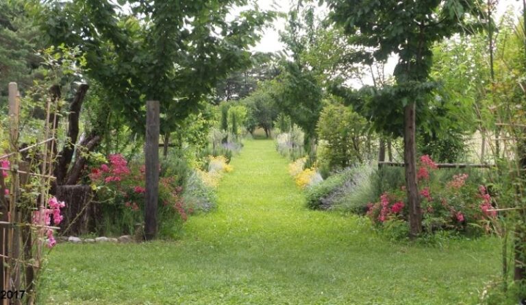 Giardino del Chiostro 1